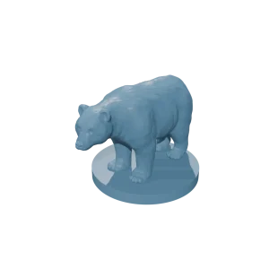 Black Bear