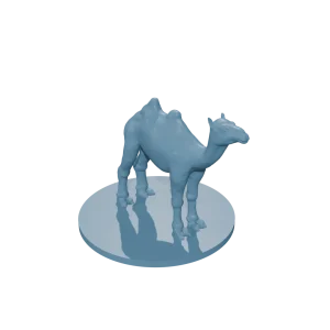Camel
