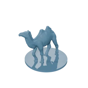 Camel walking