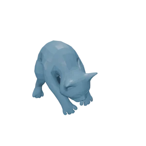 Cat Draped around Right Shoulder