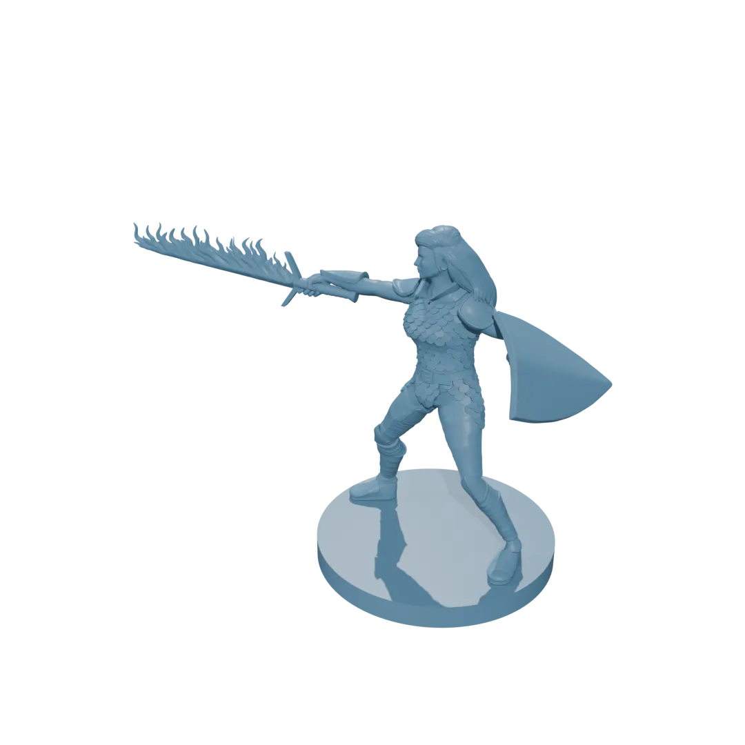 Human Female Fighter Scale Armor Flame Sword Shield - Image 2