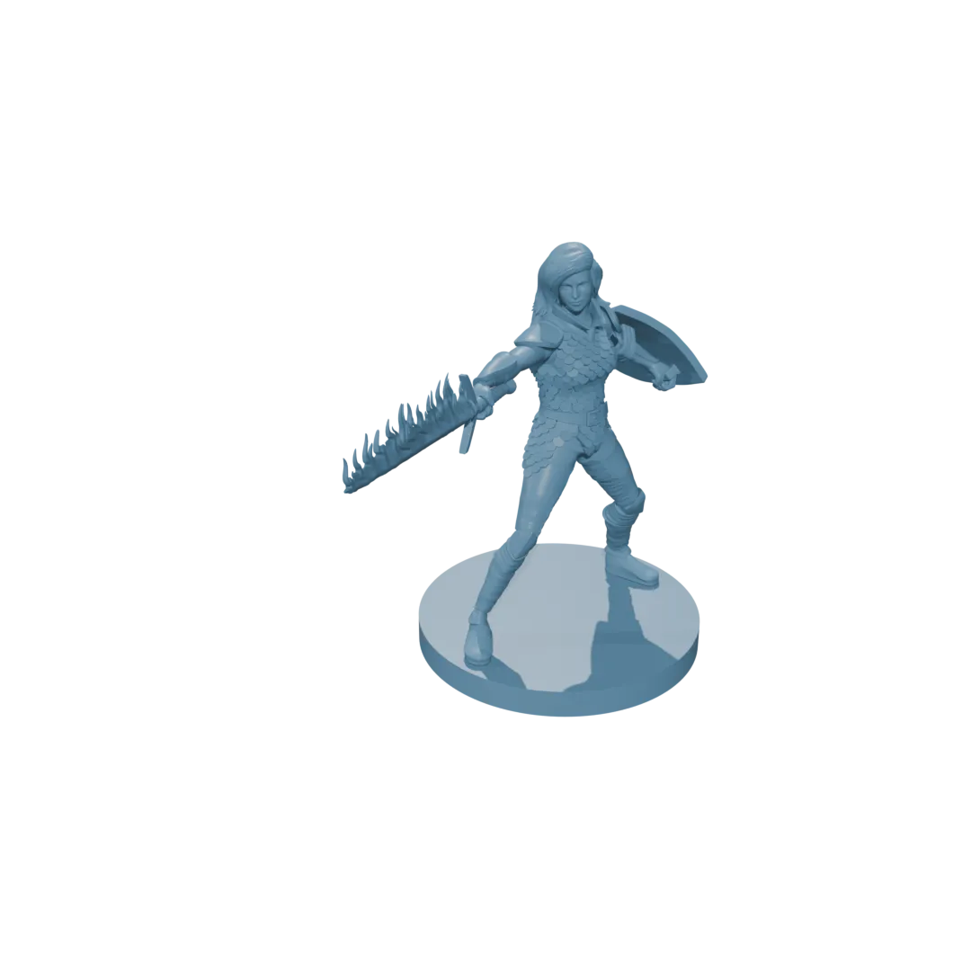 Human Female Fighter Scale Armor Flame Sword Shield