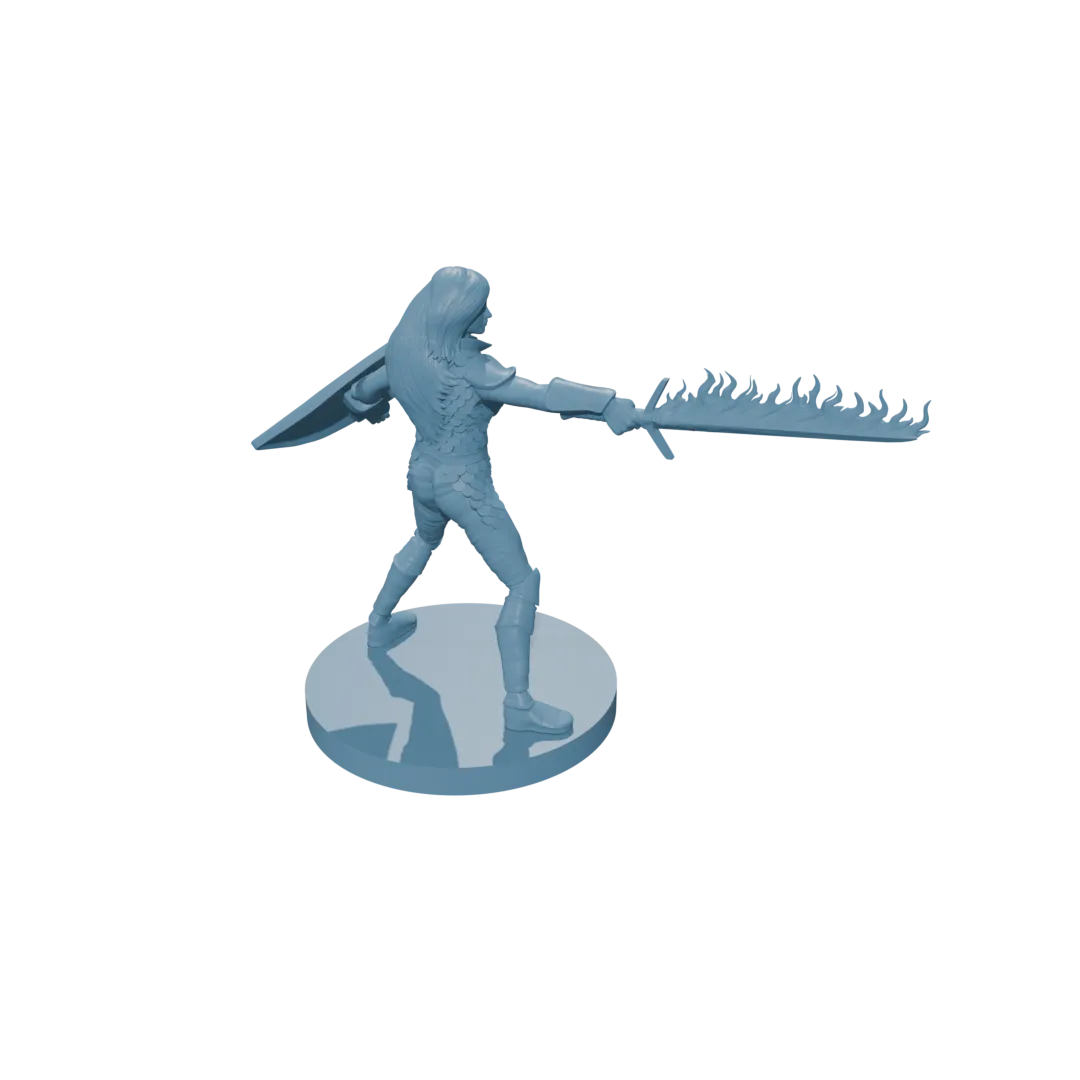 Human Female Fighter Scale Armor Flame Sword Shield - Image 4