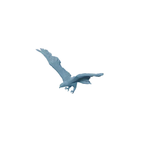 Eagle 2