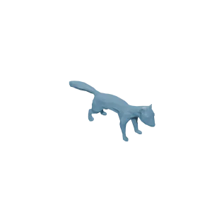 ferret
